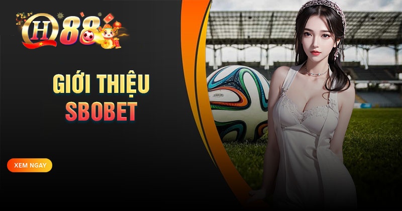 SBOBET - Đặt cược thể thao uy tín, đa dạng kèo Giới thiệu về sảnh cá cược SBOBET tại nhà cái QH88
